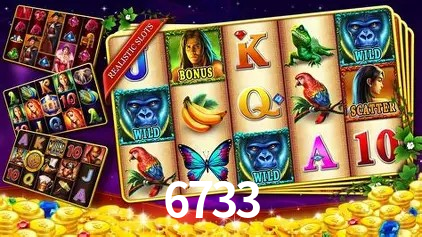 Flash Promotion 6733