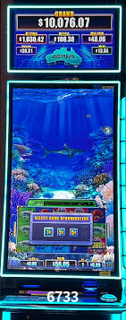 Crash Games Statistics 6733